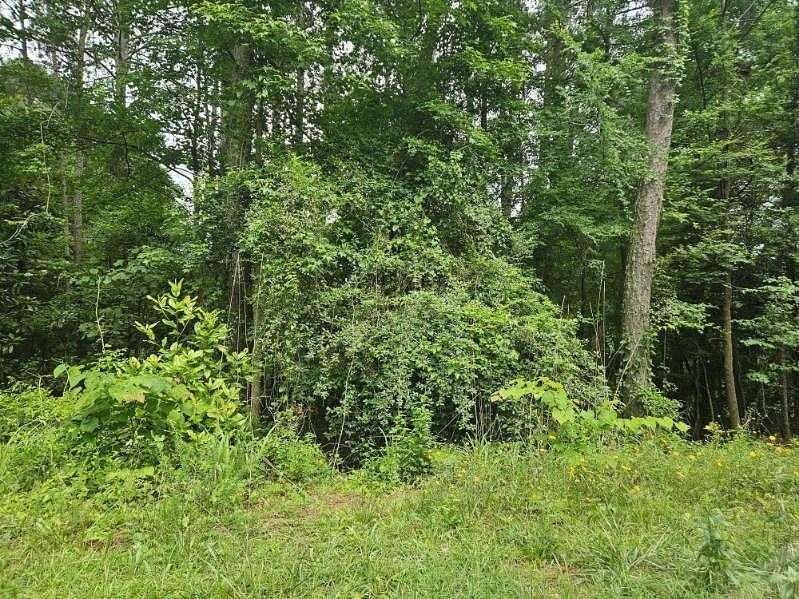 0.18 Acres of Residential Land for Sale in Conyers, Georgia