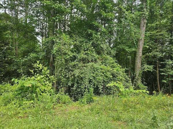 0.18 Acres of Residential Land for Sale in Conyers, Georgia