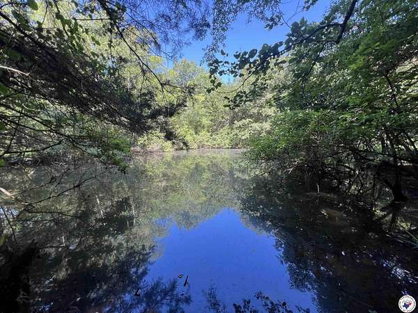 28.3 Acres of Recreational Land for Sale in De Kalb, Texas