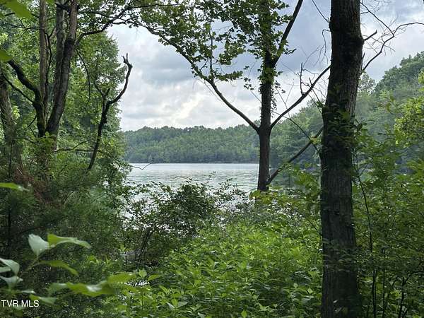 2.5 Acres of Land for Sale in Piney Flats, Tennessee