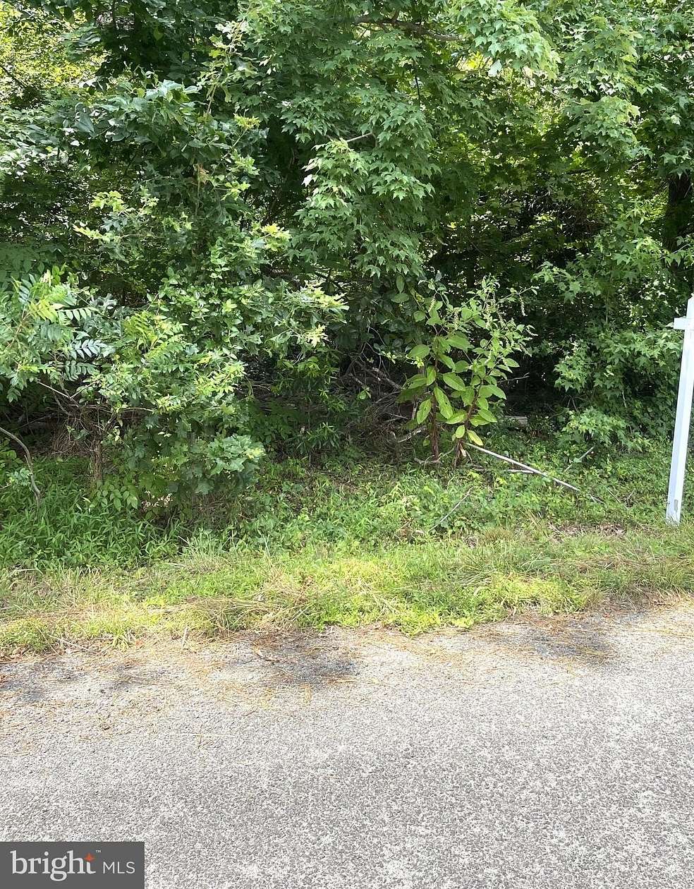 0.11 Acres of Residential Land for Sale in Colonial Beach, Virginia