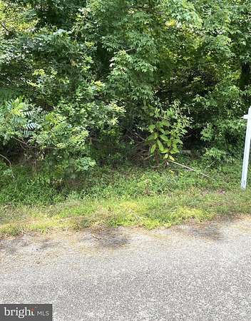 0.11 Acres of Residential Land for Sale in Colonial Beach, Virginia
