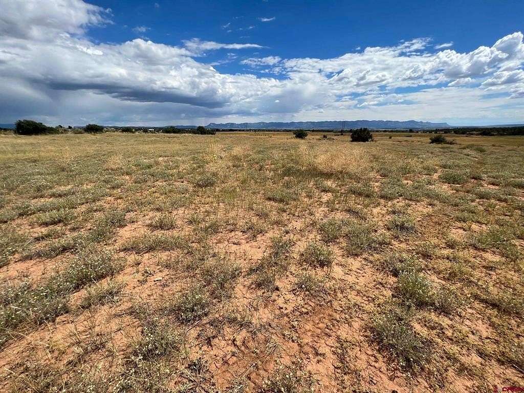 35 Acres of Recreational Land & Farm for Sale in Dolores, Colorado