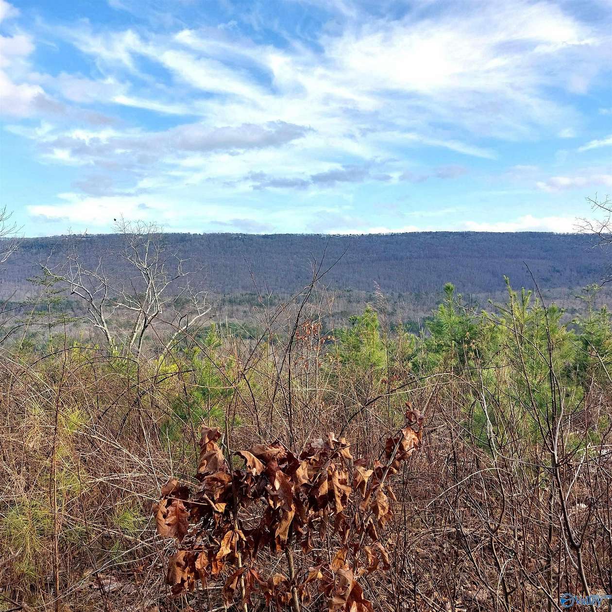 40.2 Acres of Recreational Land for Sale in Valley Head, Alabama