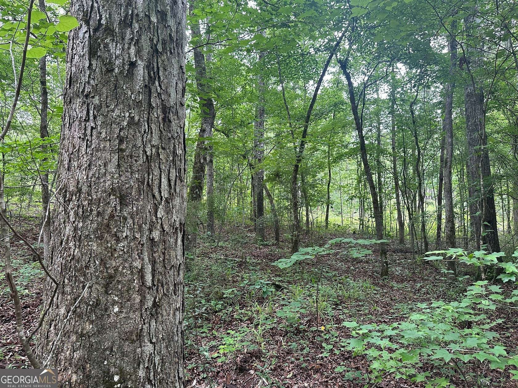 18.8 Acres of Agricultural Land for Sale in LaGrange, Georgia