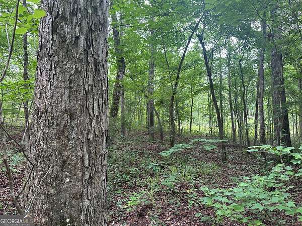 18.8 Acres of Agricultural Land for Sale in LaGrange, Georgia