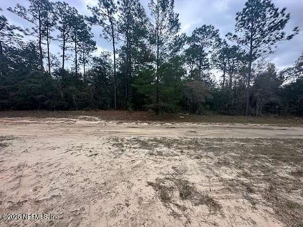 0.34 Acres of Residential Land for Sale in Florahome, Florida