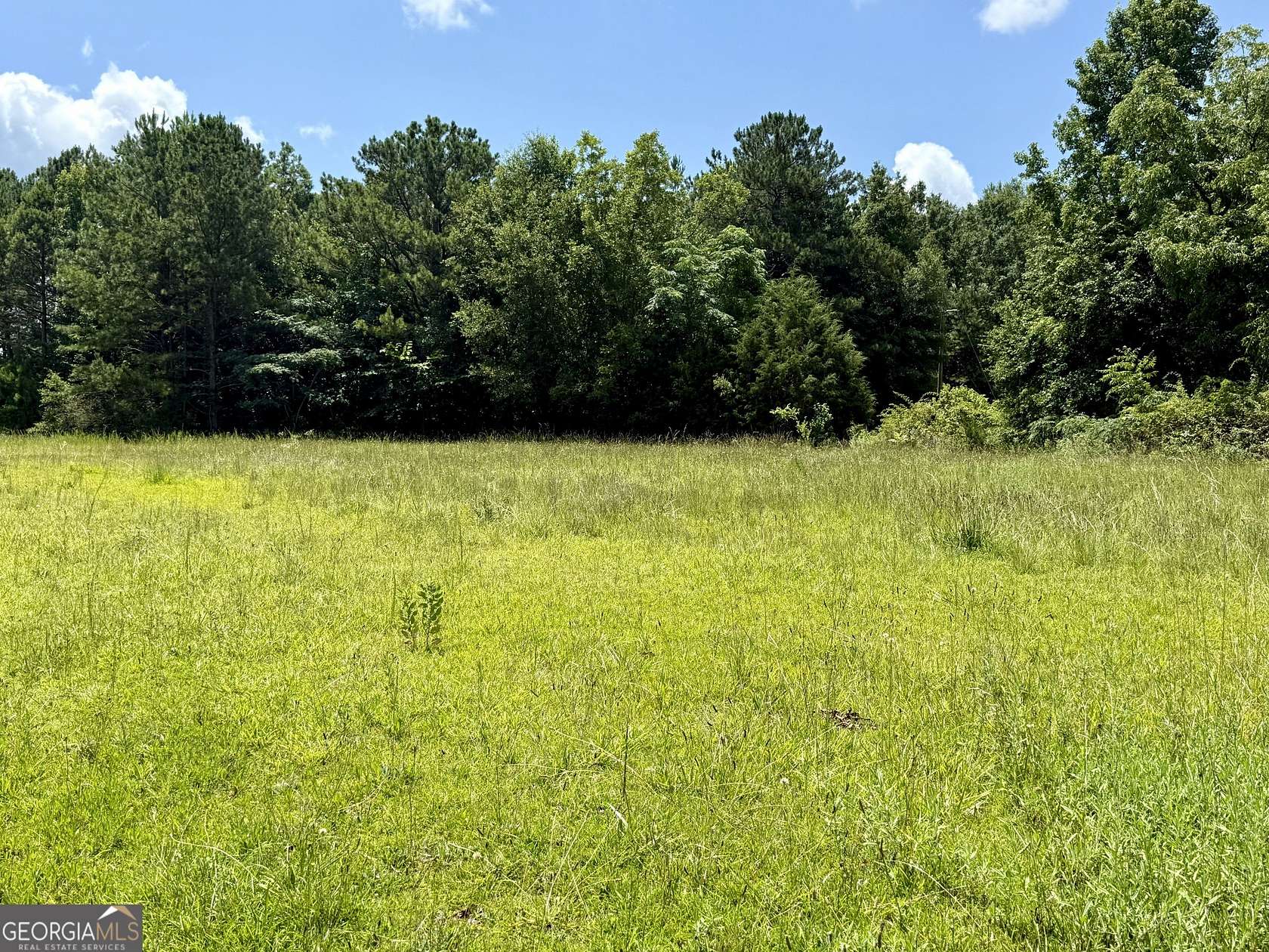 1 Acre of Land for Sale in Locust Grove, Georgia