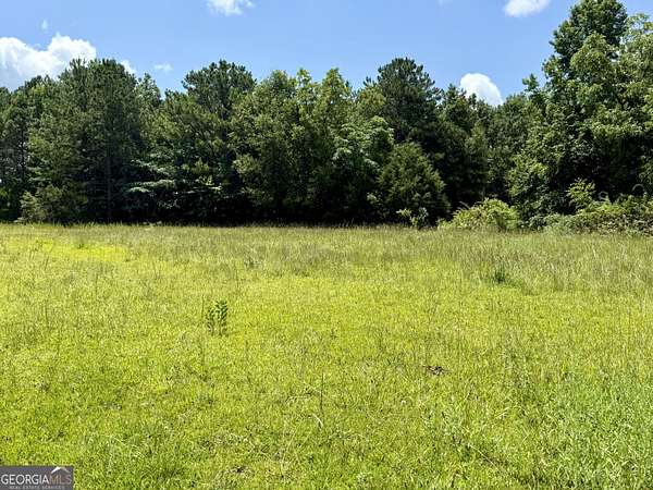 1 Acre of Land for Sale in Locust Grove, Georgia