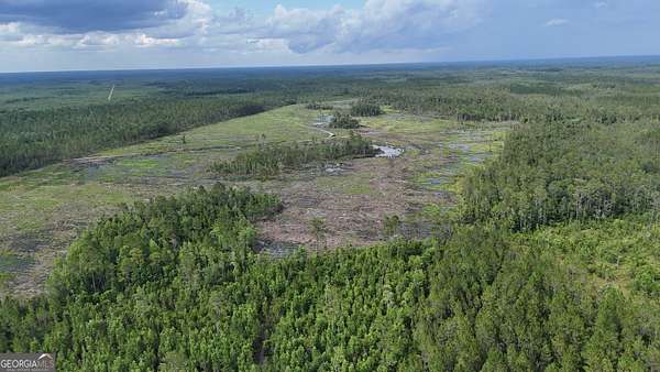 200 Acres of Recreational Land & Farm for Sale in Waynesville, Georgia