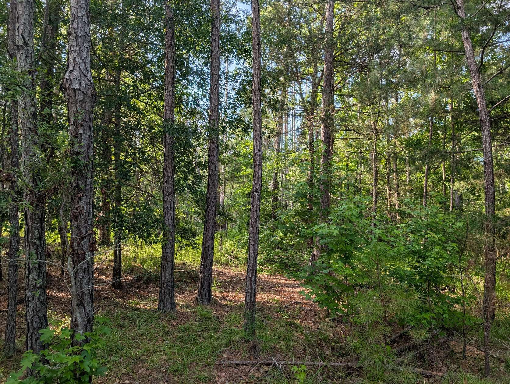 2.69 Acres of Residential Land for Sale in Appling, Georgia