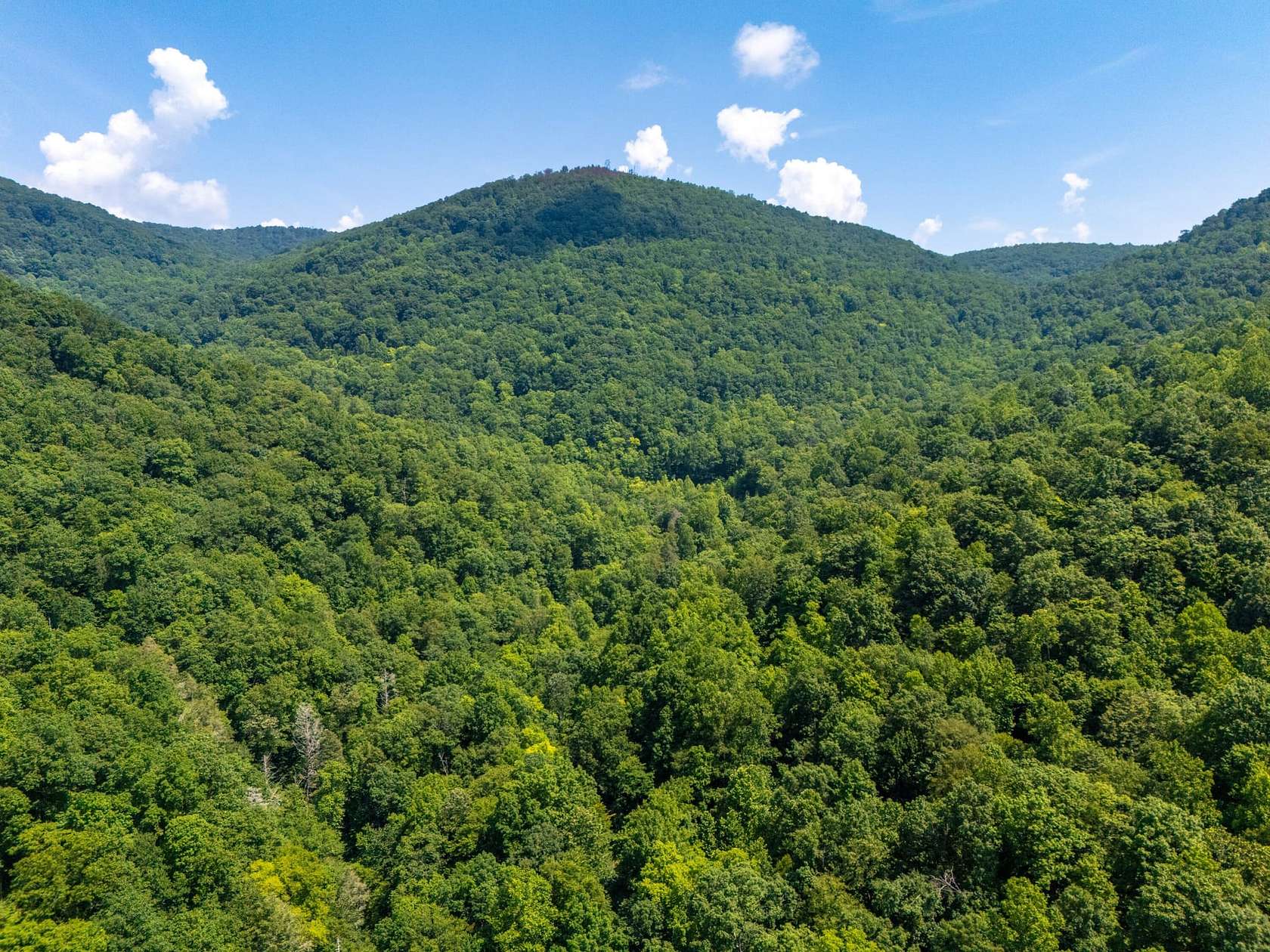 3,713 Acres of Land for Sale in Caryville, Tennessee