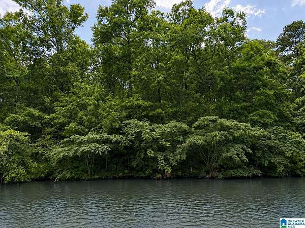 0.57 Acres of Land for Sale in Wedowee, Alabama