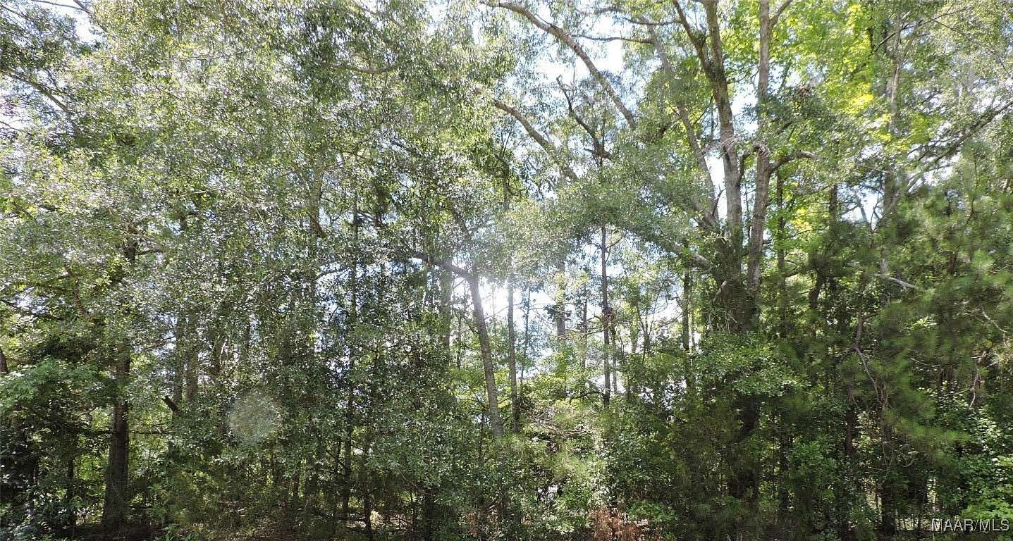 61.6 Acres of Recreational Land for Sale in Greenville, Alabama