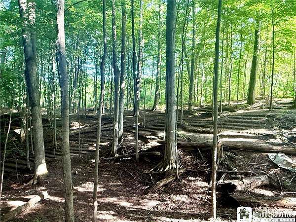 8.3 Acres of Improved Land for Sale in Gerry, New York