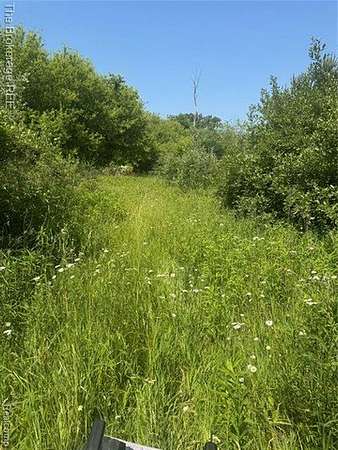 4.2 Acres of Residential Land for Sale in Lennon, Michigan