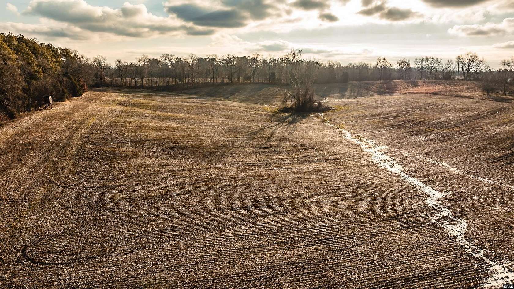 15.4 Acres of Land for Sale in Dyer, Tennessee