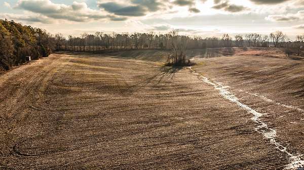 15.4 Acres of Land for Sale in Dyer, Tennessee