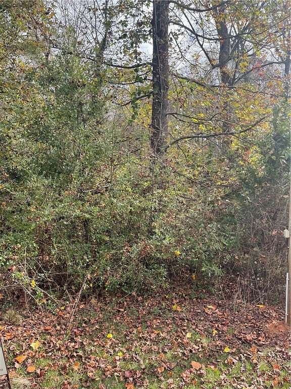 23 Acres of Agricultural Land for Sale in Seneca, South Carolina