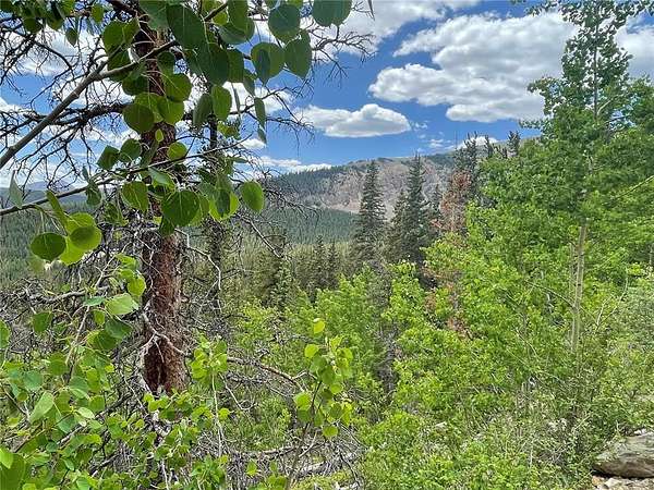 8.1 Acres of Land for Sale in Alma, Colorado