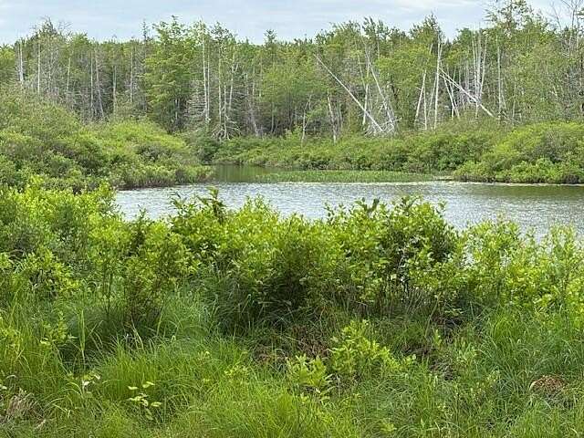 7 Acres of Land for Sale in Cooper, Maine