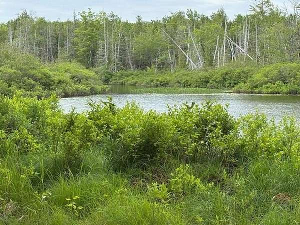 7 Acres of Land for Sale in Cooper, Maine