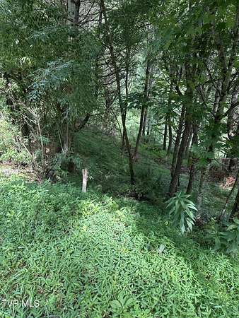 2.29 Acres of Residential Land for Sale in Mountain City, Tennessee