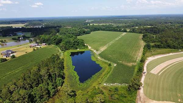 92 Acres of Land for Sale in Tifton, Georgia
