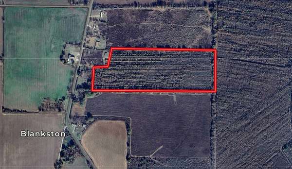 26 Acres of Recreational Land for Sale in Columbia, Louisiana