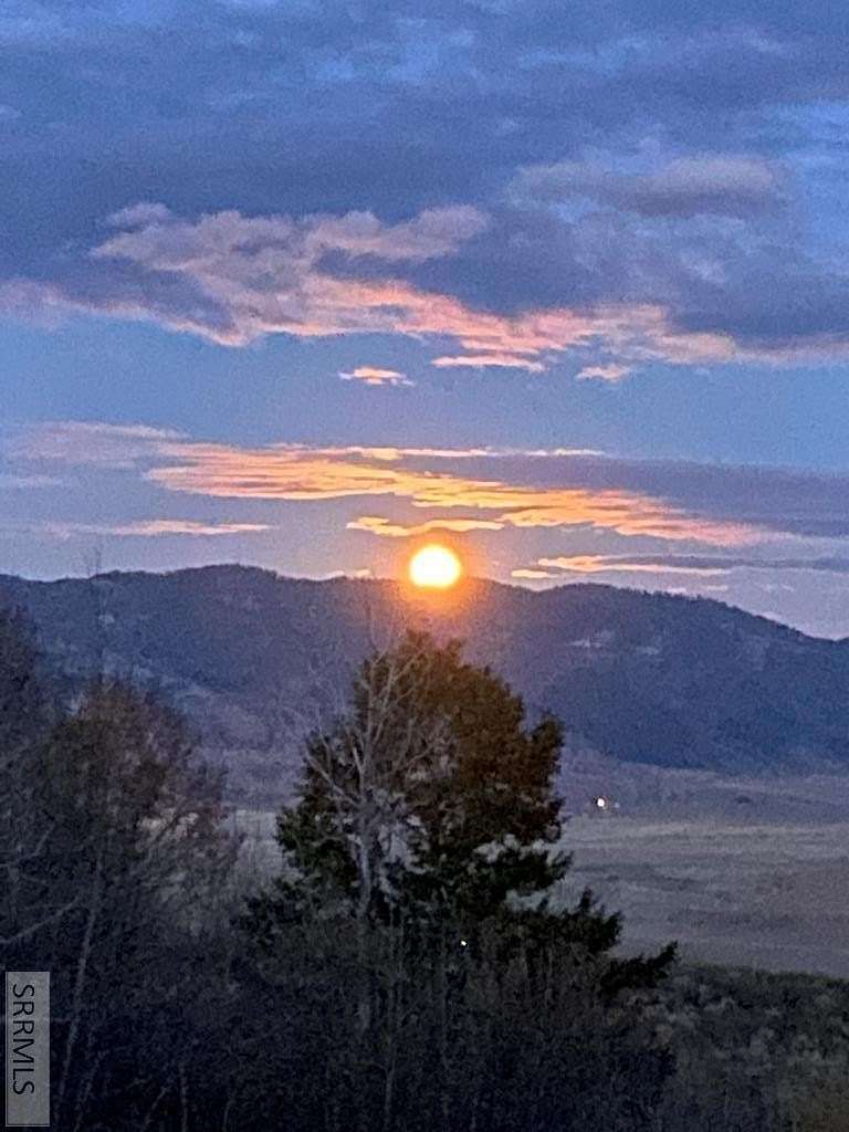 17.2 Acres of Land for Sale in Swan Valley, Idaho