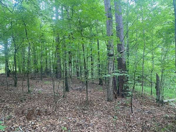 4.7 Acres of Residential Land for Sale in Waynesboro, Georgia