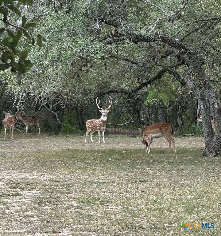 160 Acres of Recreational Land for Sale in Beeville, Texas