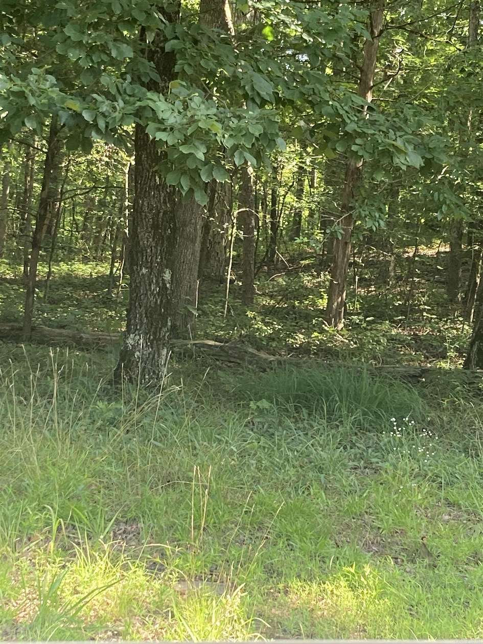 0.28 Acres of Residential Land for Sale in Fairfield Bay, Arkansas