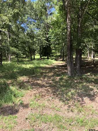 1 Acre of Residential Land for Sale in Jefferson, Texas