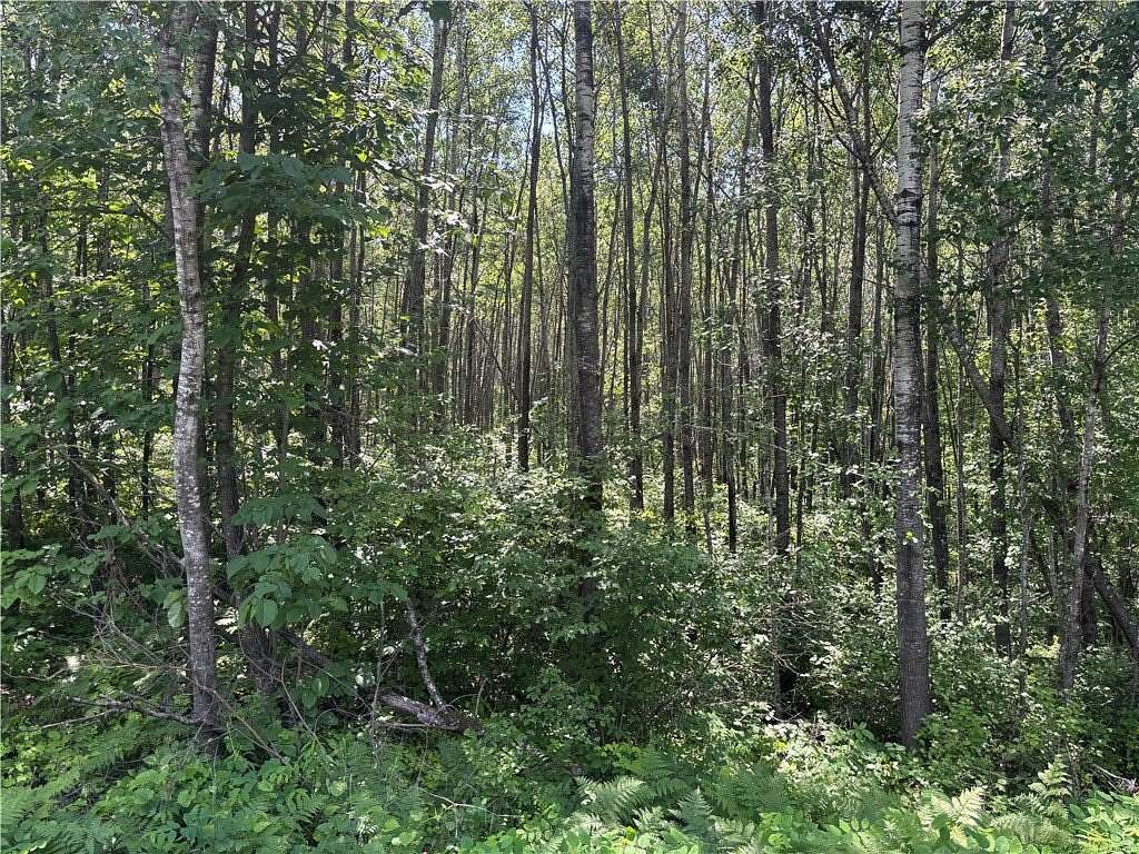 5 Acres of Residential Land for Sale in Hayward, Wisconsin