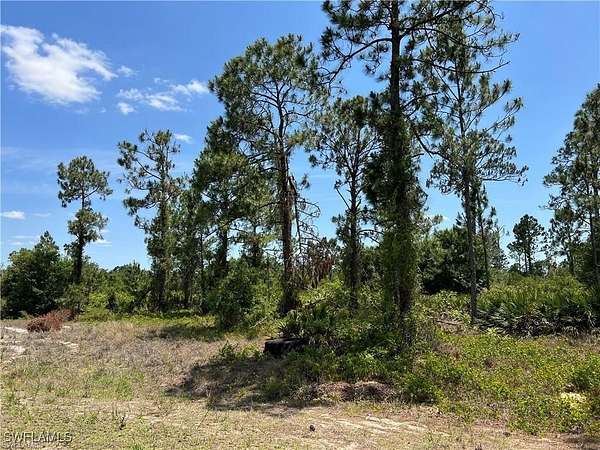 1.25 Acres of Residential Land for Sale in LaBelle, Florida