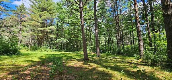 1.44 Acres of Residential Land for Sale in Manitowish Waters, Wisconsin