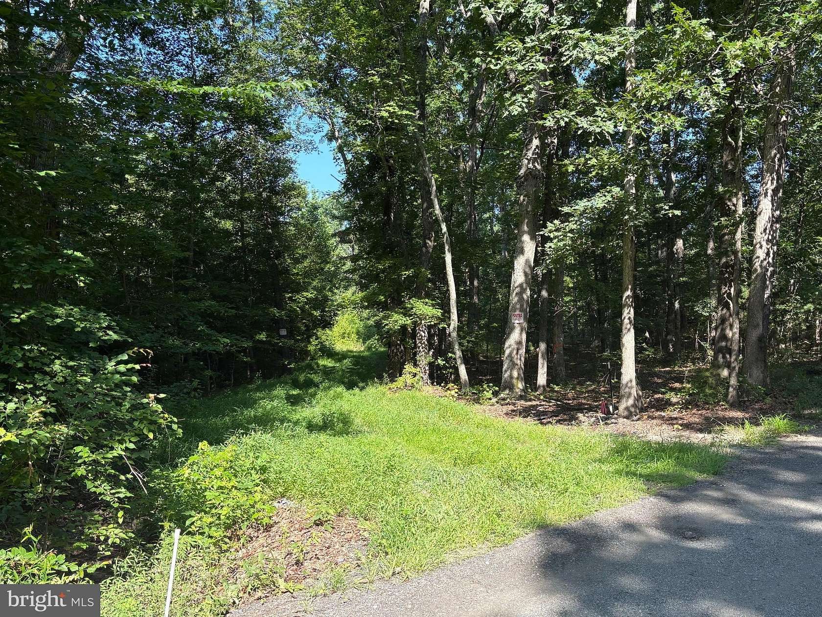 11.8 Acres of Recreational Land for Sale in Louisa, Virginia