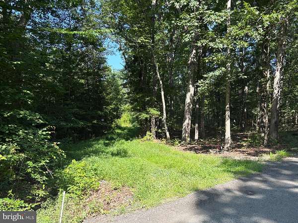 11.8 Acres of Recreational Land for Sale in Louisa, Virginia