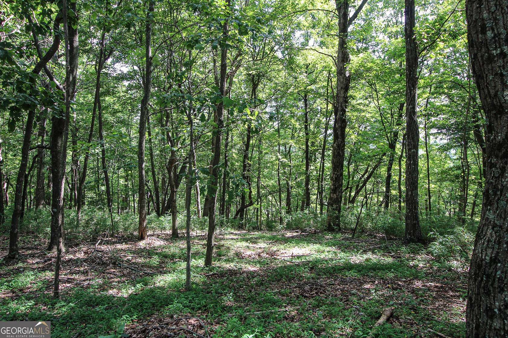 0.75 Acres of Land for Sale in Big Canoe, Georgia