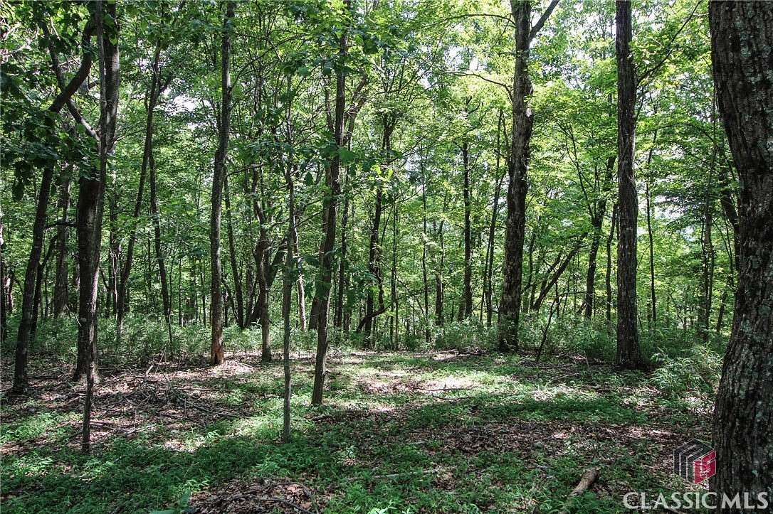 0.75 Acres of Residential Land for Sale in Jasper, Georgia