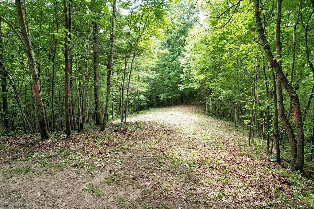 2.5 Acres of Residential Land for Sale in Ellijay Township, North Carolina