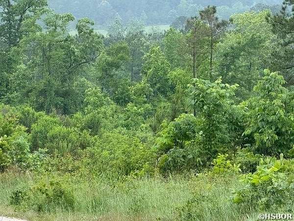 29 Acres of Land for Sale in Amity, Arkansas