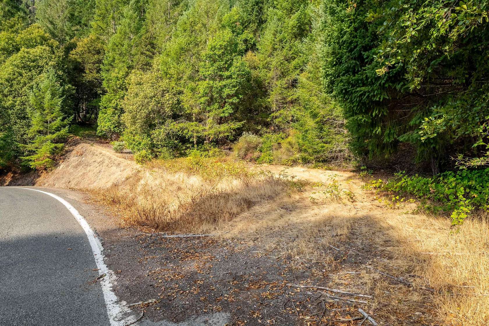 37 Acres of Land for Sale in Wolf Creek, Oregon