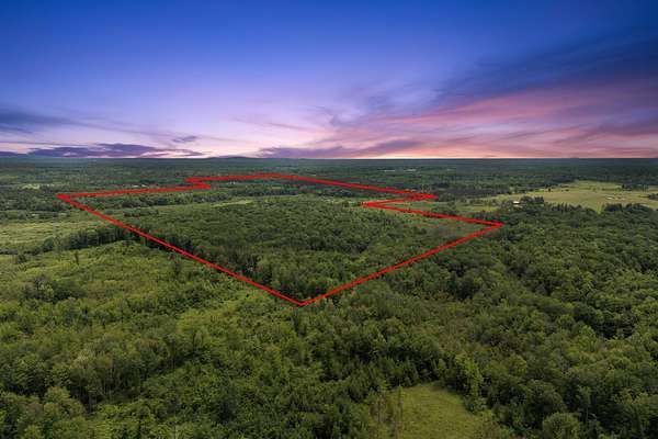 160 Acres of Recreational Land for Sale in Neillsville, Wisconsin
