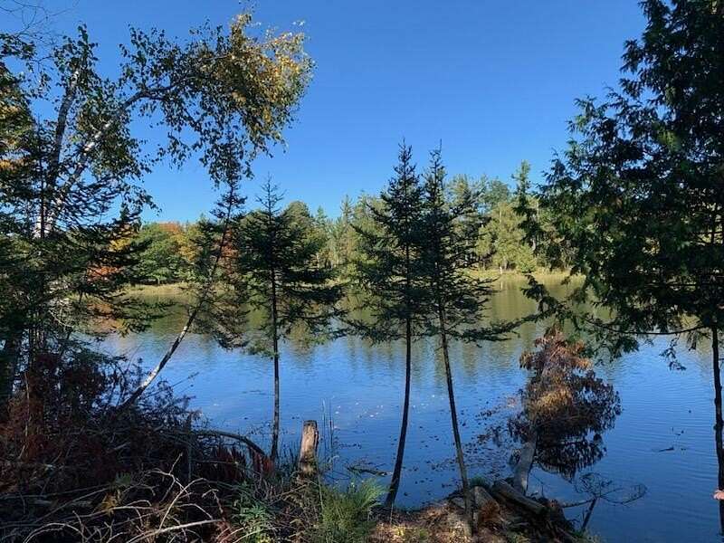 3.12 Acres of Land for Sale in Alpena, Michigan