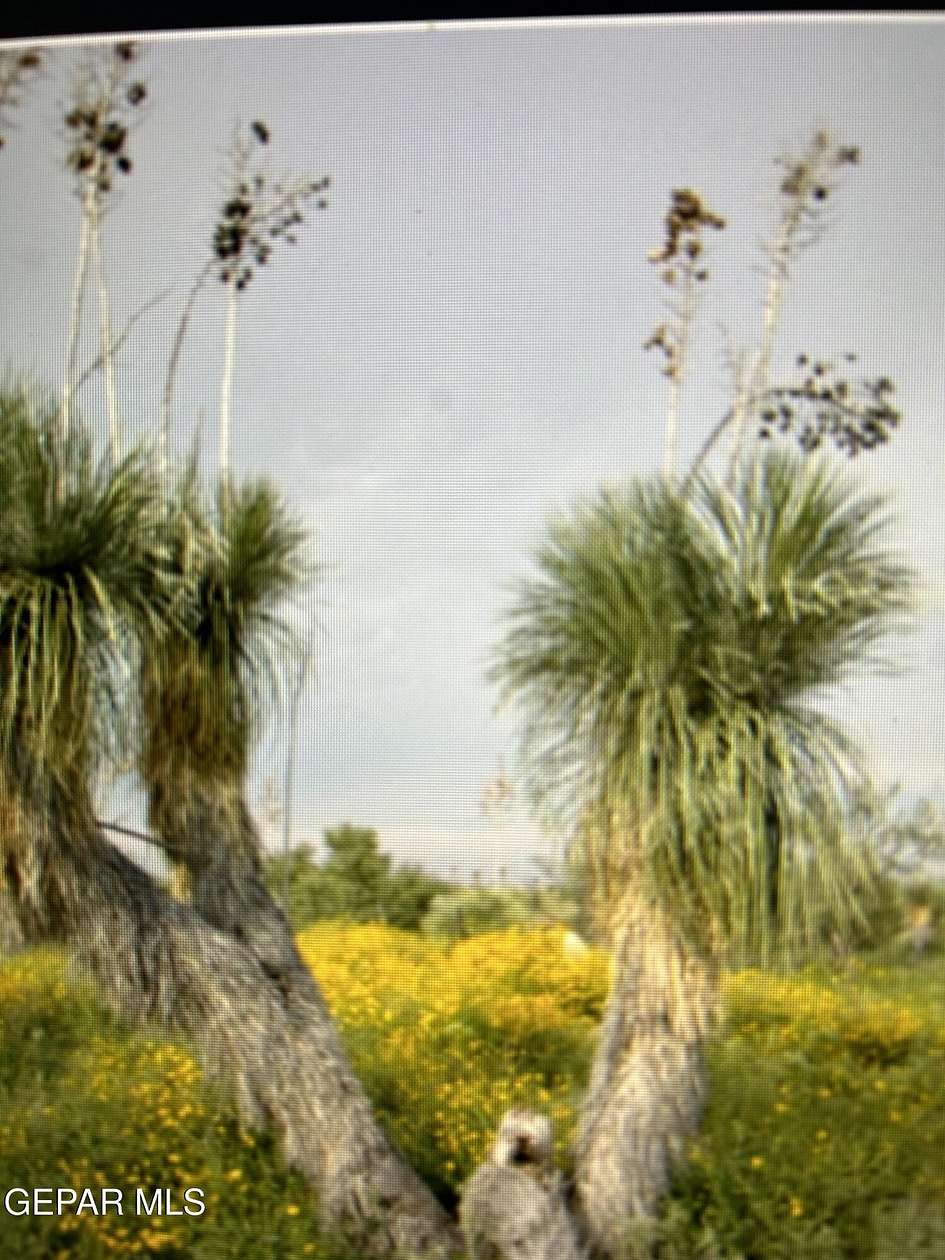 20 Acres of Land for Sale in Sierra Blanca, Texas