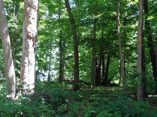 0.42 Acres of Residential Land for Sale in Rockford, Illinois