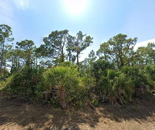 0.23 Acres of Residential Land for Sale in Port Charlotte, Florida