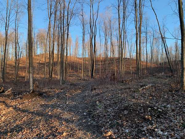 78.7 Acres of Recreational Land for Sale in Bear Lake, Michigan